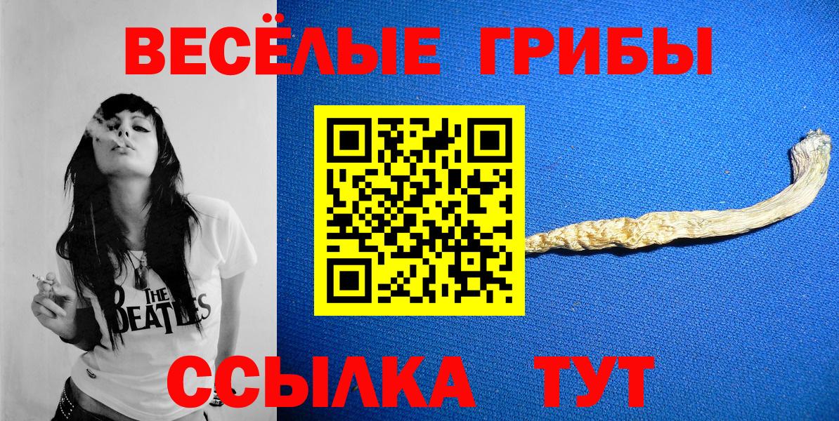 купить наркотик  Галлюциногенные грибы мухоморы  Вход с VPN  Саянск  Псилоцибиновые грибы прущие грибы 