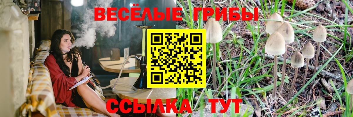 Галлюциногенные грибы Psilocybine cubensis Саянск
