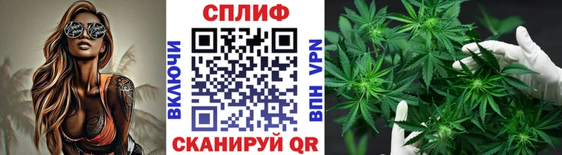 где можно купить наркотик  кракен зеркало  Шишки марихуана Bruce Banner  Саянск 